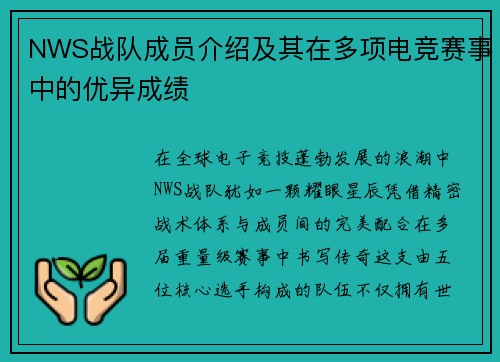 NWS战队成员介绍及其在多项电竞赛事中的优异成绩